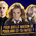 Test-maison-harry-potter