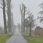 Weer Wageningen